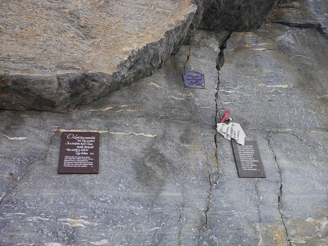 P1000662.JPG