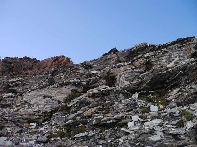 P1000702.JPG