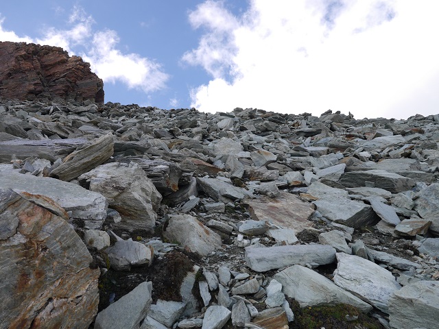 P1000789.JPG