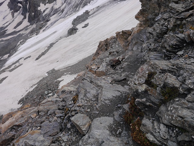P1000793.JPG