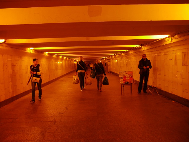 P1030347.JPG