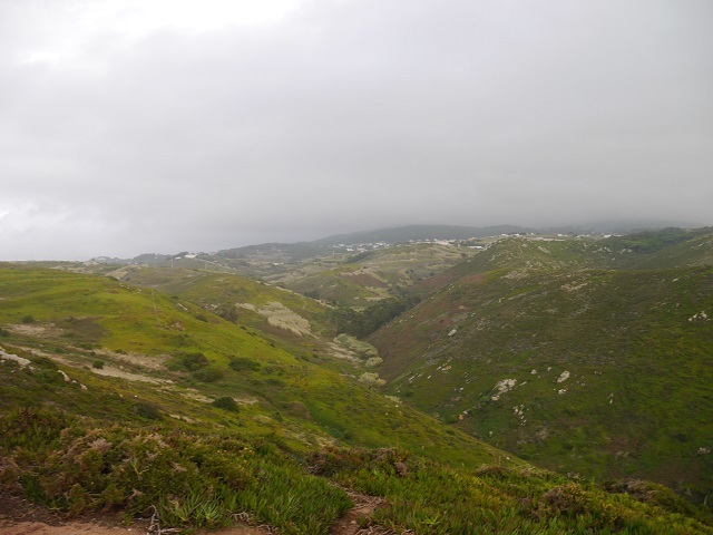 P1040754.JPG