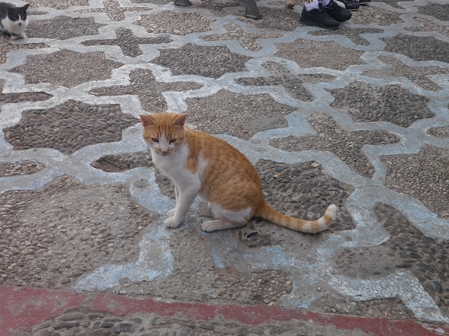 P1050151.jpg
