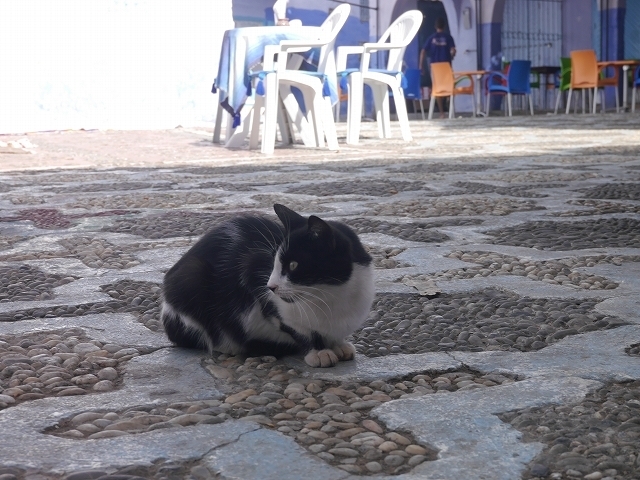 P1050152.jpg