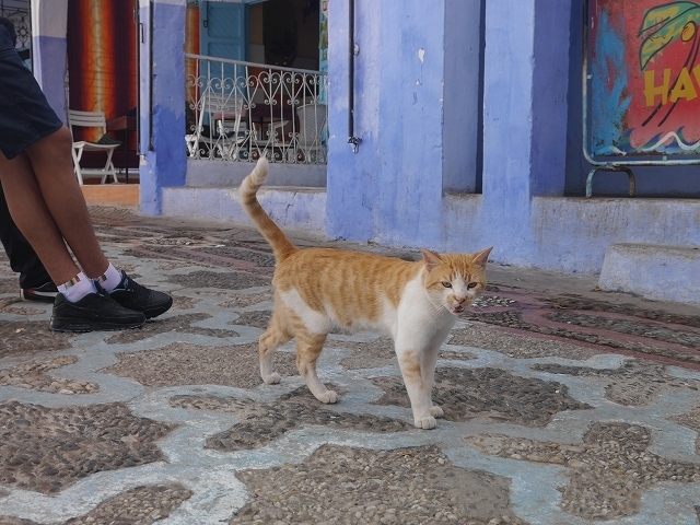 P1050153.jpg