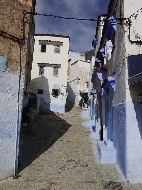 P1050158.jpg