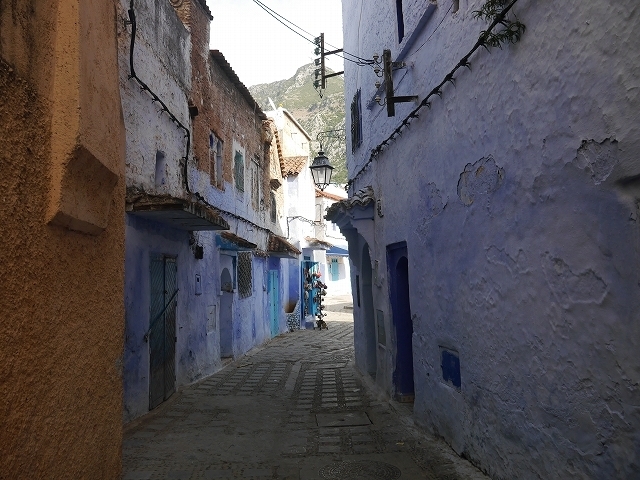 P1050164.jpg
