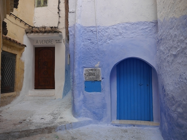 P1050167.jpg