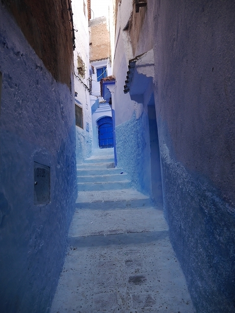 P1050170.jpg