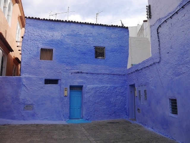 P1050175.jpg