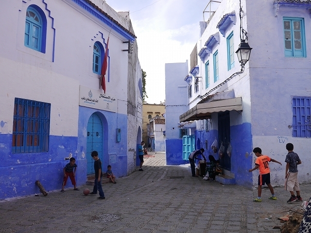 P1050176.jpg