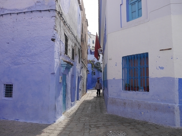 P1050177.jpg