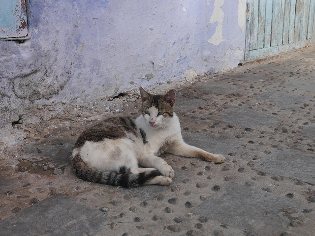 P1050182.jpg