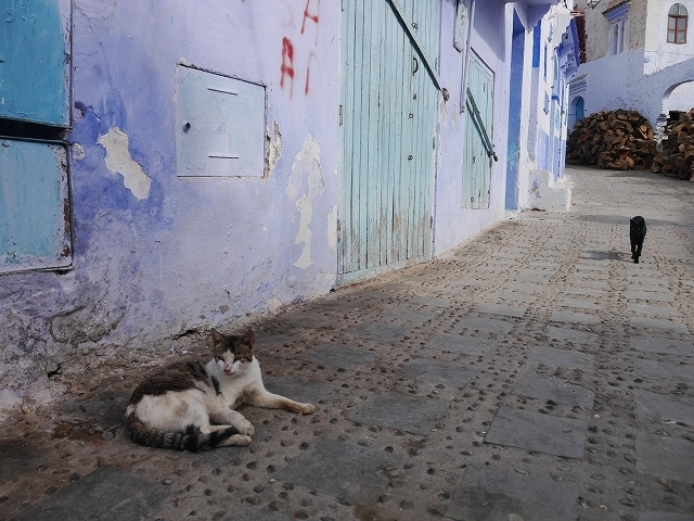 P1050183.jpg