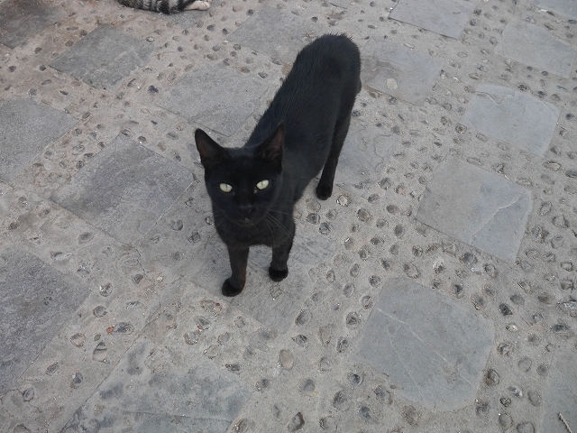 P1050186.jpg