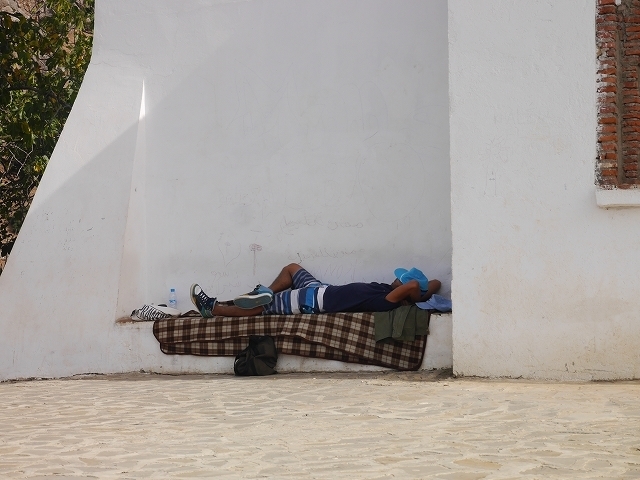 P1050270.jpg