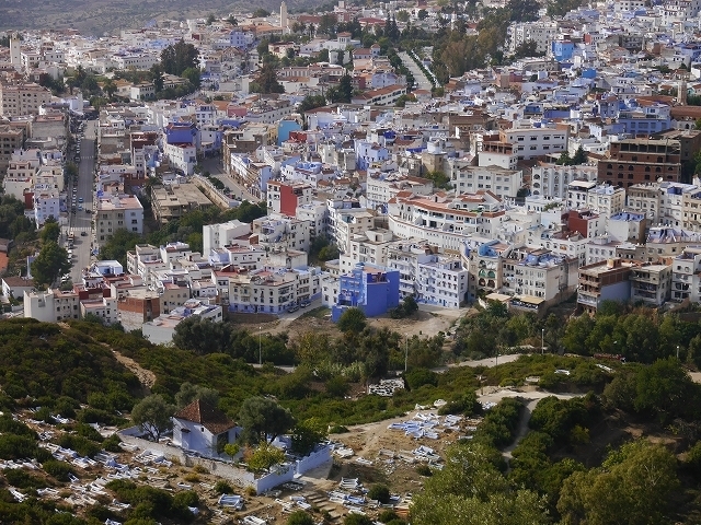 P1050276.jpg