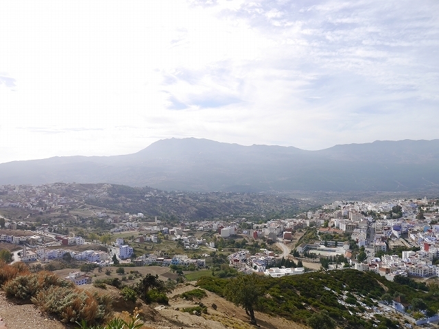 P1050278.jpg