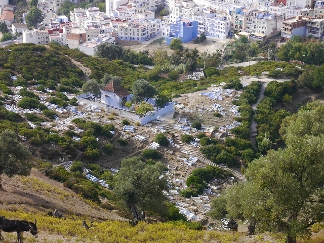 P1050300.jpg