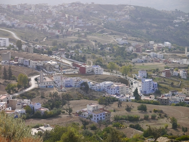 P1050303.jpg