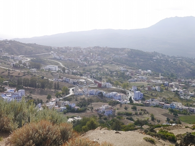 P1050305.jpg