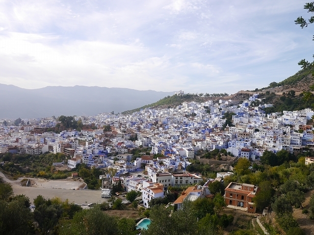 P1050317.jpg