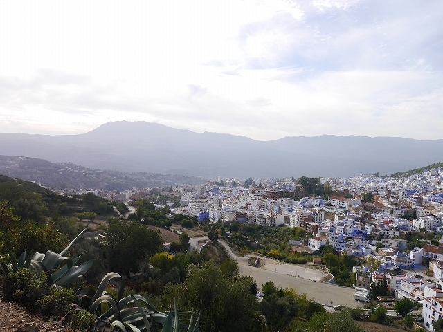 P1050319.jpg