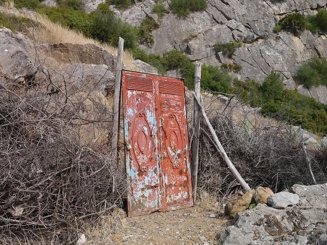P1050320.jpg