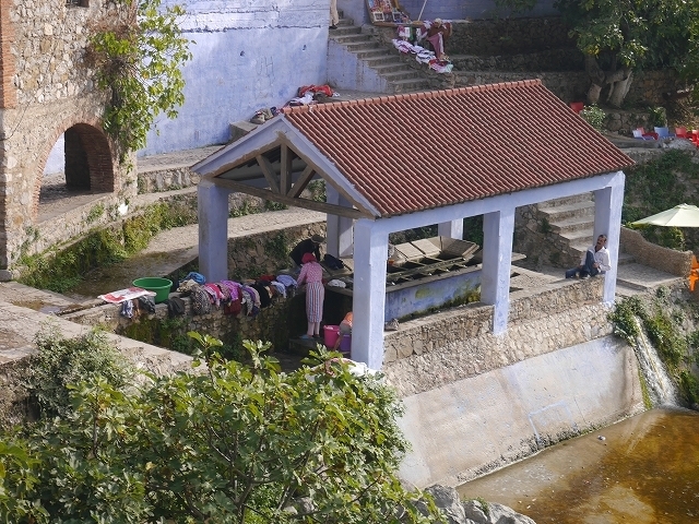 P1050321.jpg