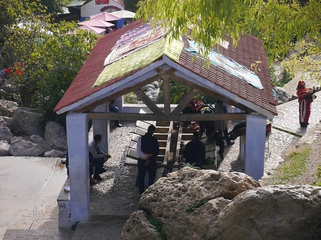 P1050322.jpg
