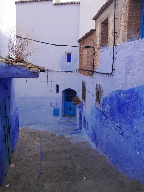 P1050323.jpg