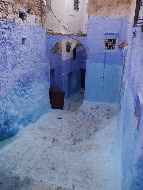 P1050324.jpg