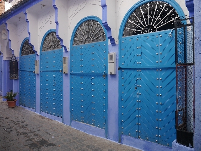 P1050327.jpg