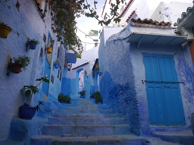 P1050337.jpg