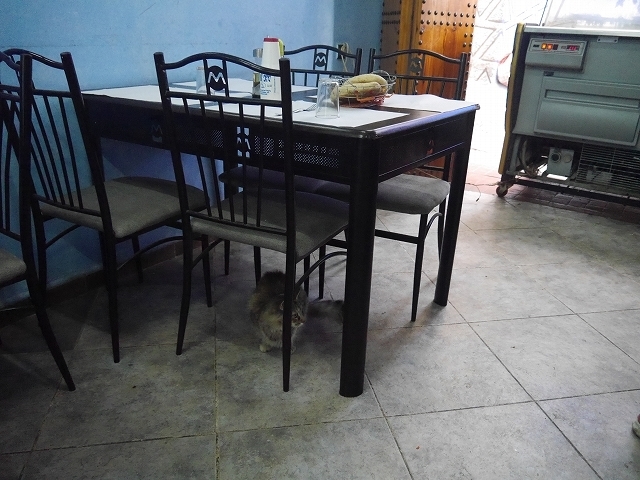 P1050346.jpg