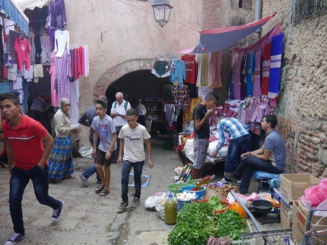 P1050353.jpg
