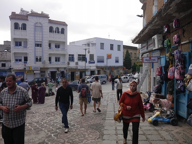 P1050354.jpg