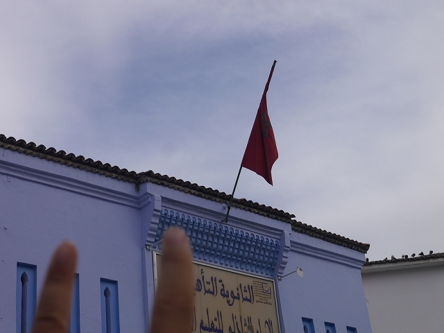 P1050361.jpg