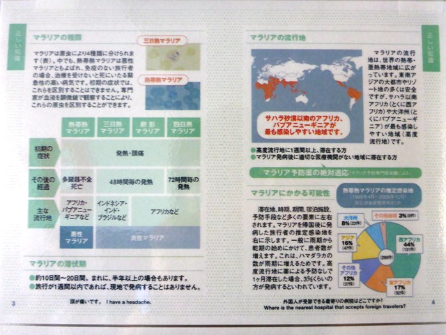 P1100166.jpg