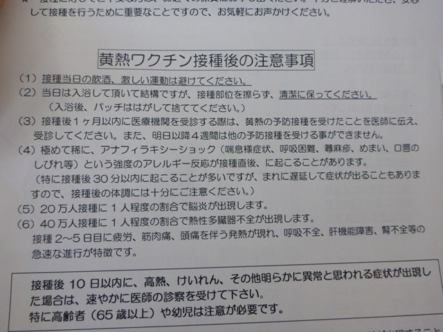 P1100182.jpg