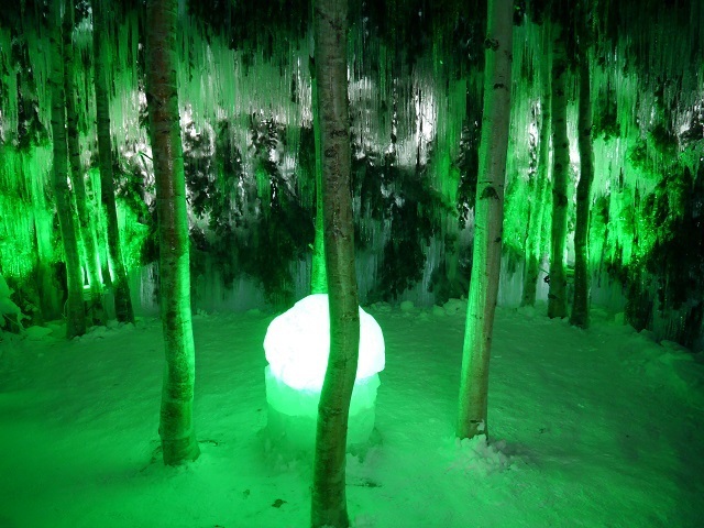 P1170008.JPG