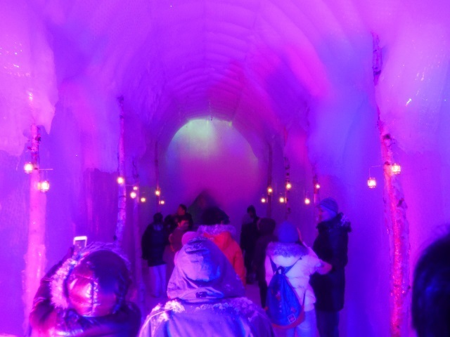 P1170243.JPG