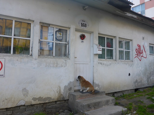P1220530.JPG