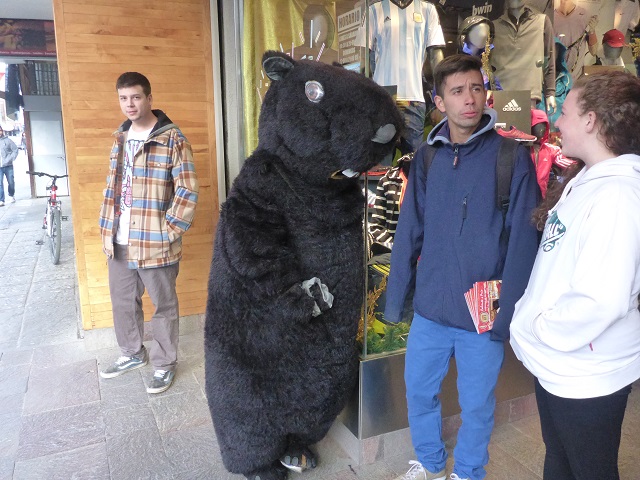 P1220538.JPG