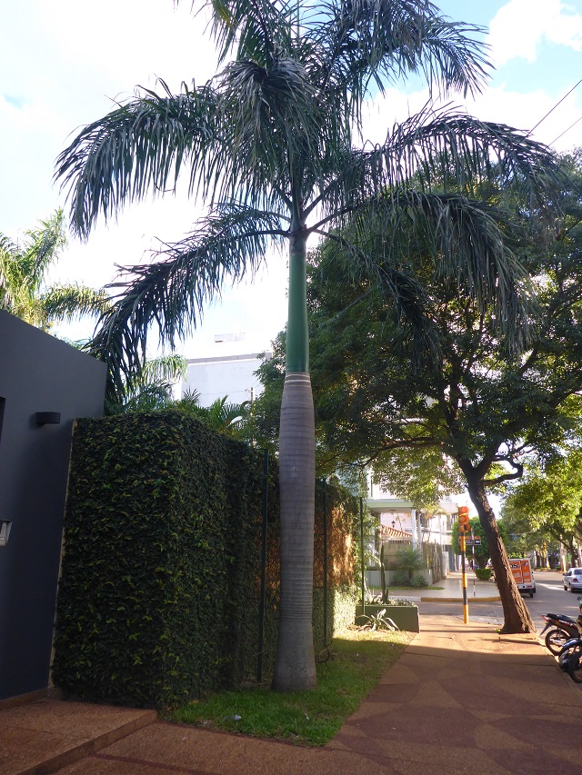 P1250888.JPG