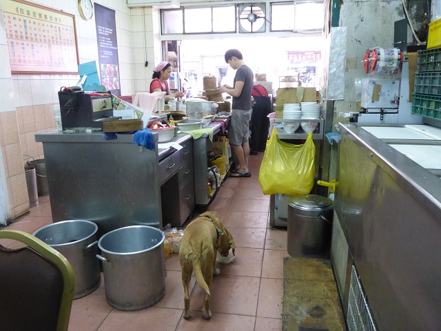 P1330717.JPG