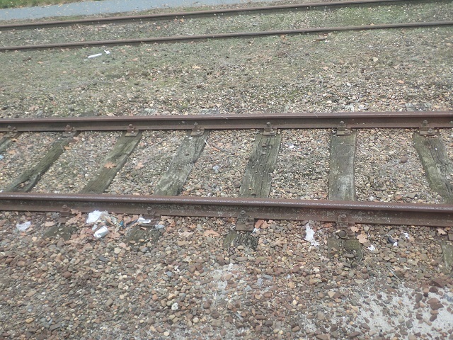 PA143572.JPG