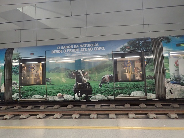 PA210005.JPG