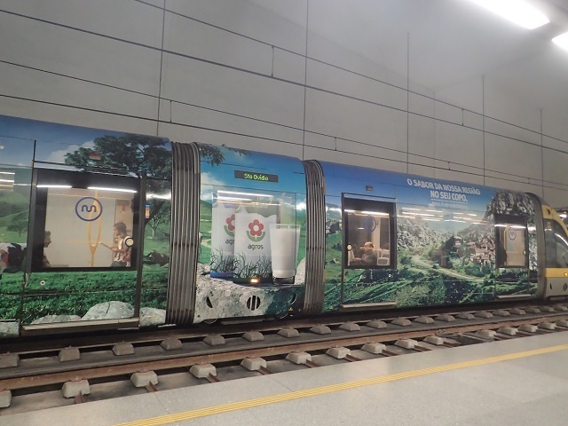 PA210006.JPG
