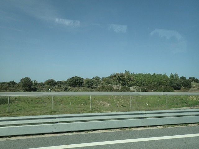 PA210019.JPG